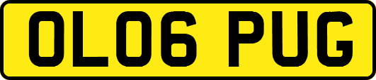 OL06PUG
