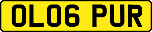 OL06PUR