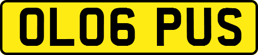 OL06PUS