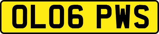 OL06PWS