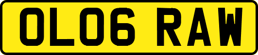 OL06RAW