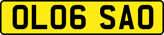 OL06SAO