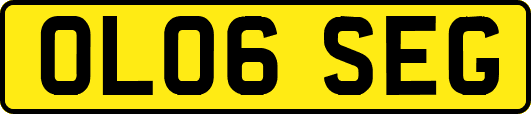 OL06SEG