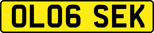 OL06SEK