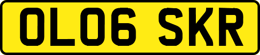 OL06SKR