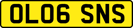OL06SNS