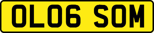 OL06SOM