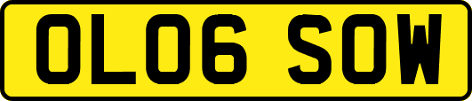 OL06SOW