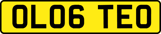 OL06TEO