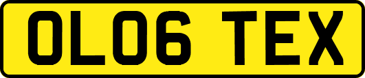 OL06TEX