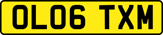 OL06TXM