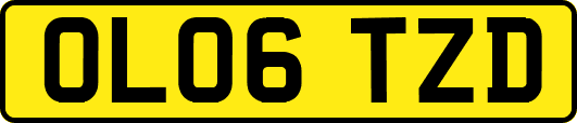 OL06TZD