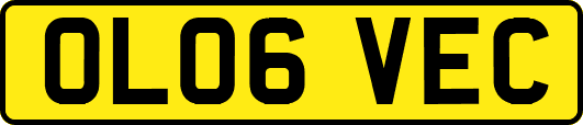 OL06VEC