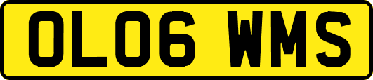 OL06WMS