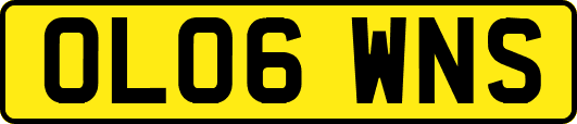 OL06WNS