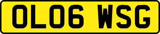 OL06WSG