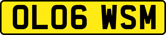 OL06WSM