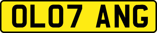 OL07ANG