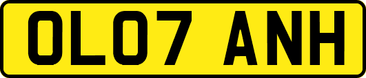 OL07ANH