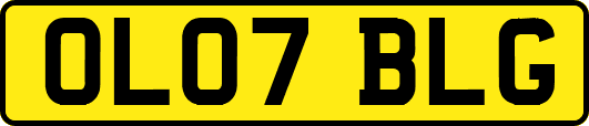 OL07BLG