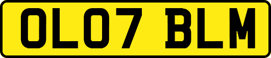 OL07BLM