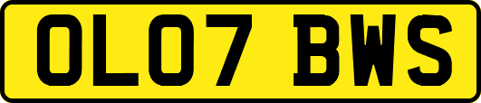 OL07BWS