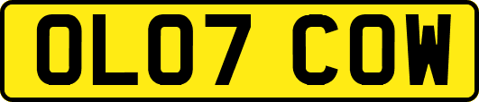 OL07COW