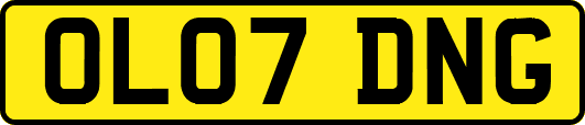 OL07DNG