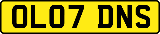 OL07DNS