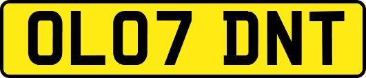 OL07DNT