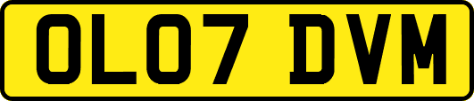 OL07DVM