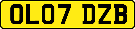 OL07DZB