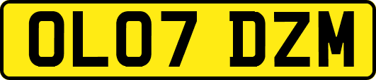 OL07DZM
