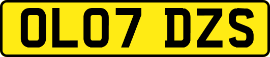 OL07DZS
