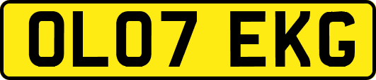 OL07EKG