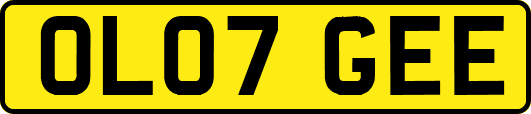 OL07GEE