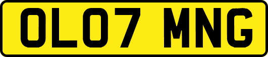 OL07MNG