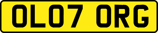 OL07ORG