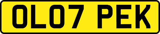OL07PEK