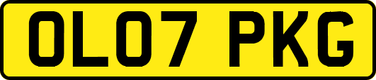 OL07PKG