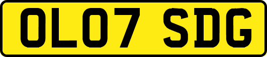 OL07SDG