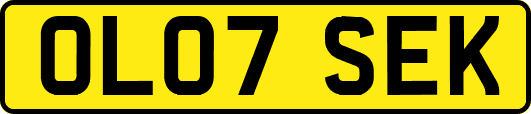 OL07SEK