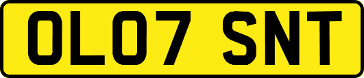 OL07SNT