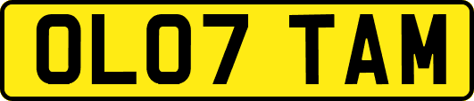 OL07TAM