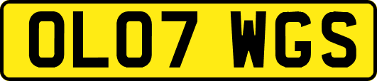 OL07WGS