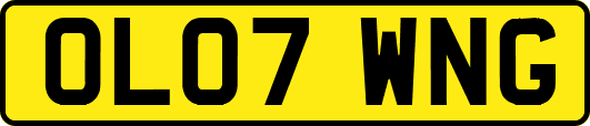 OL07WNG