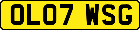 OL07WSG