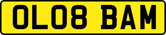 OL08BAM