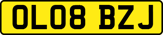 OL08BZJ