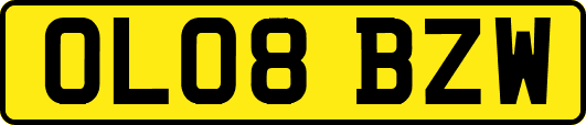 OL08BZW